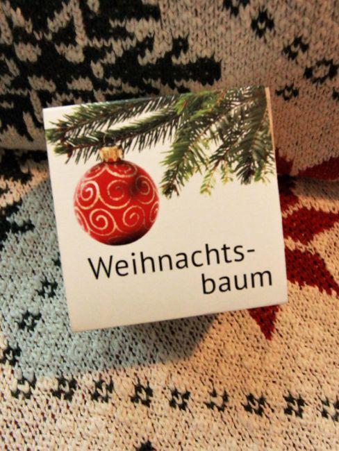 sapin à faire pousser