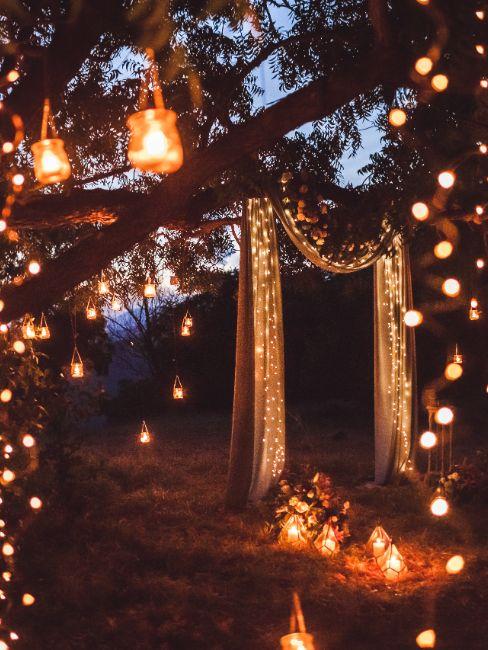 décoration extérieure de mariage, arbres décorés, guirlandes lumineuses
