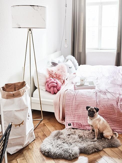 nom de chien femelle, petit chien dans chambre rose