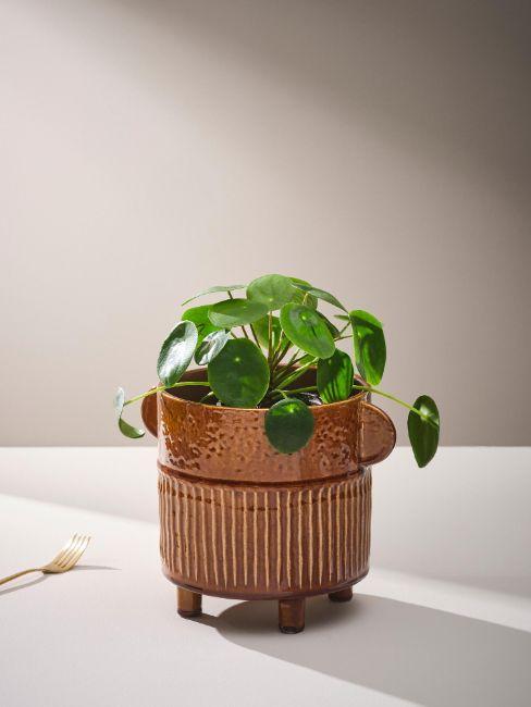 cache-pot en céramique