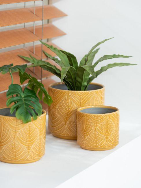 cache-pot en céramique