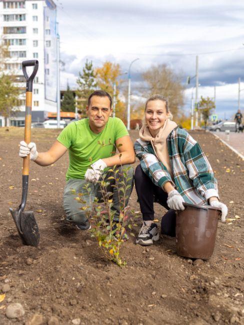 activité en couple, planter des arbres, bénévolat