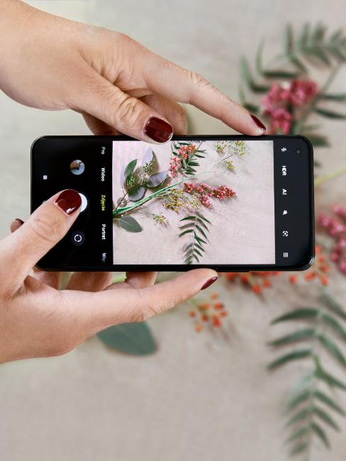 citations instagram, mains de femme tenant un téléphone pour photographier des fleurs