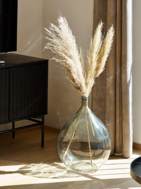 dame jeanne, herbe de pampa