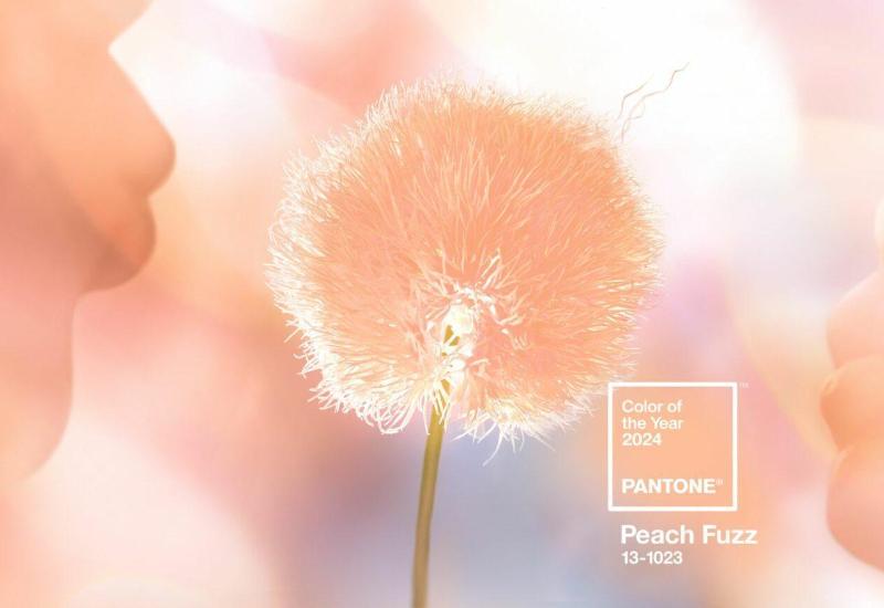 couleur Peach Fuzz, pantone 2024, graphisme fleur, couleur pêche