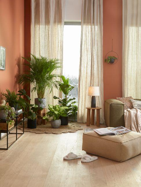 salon aux murs terracotta clair avec plantes
