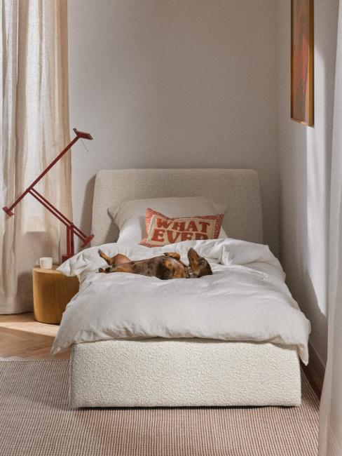 affiliation Westwing, chien sur un lit