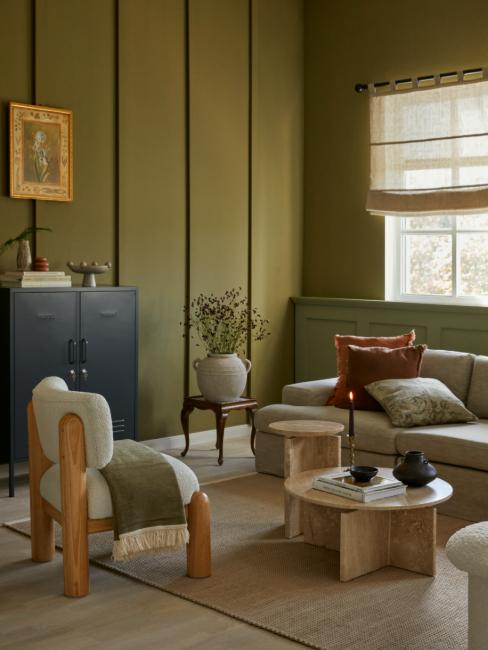 salon avec peinture couleur kaki