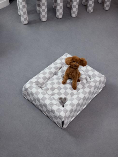 chien de Harry Nuriev sur panier de couchage à damier gris et blanc