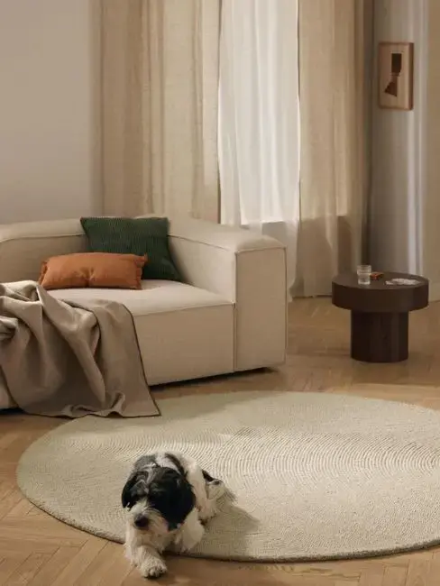 Kako odabrati najbolji tepih