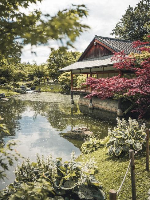 Esempio di giardino giapponese