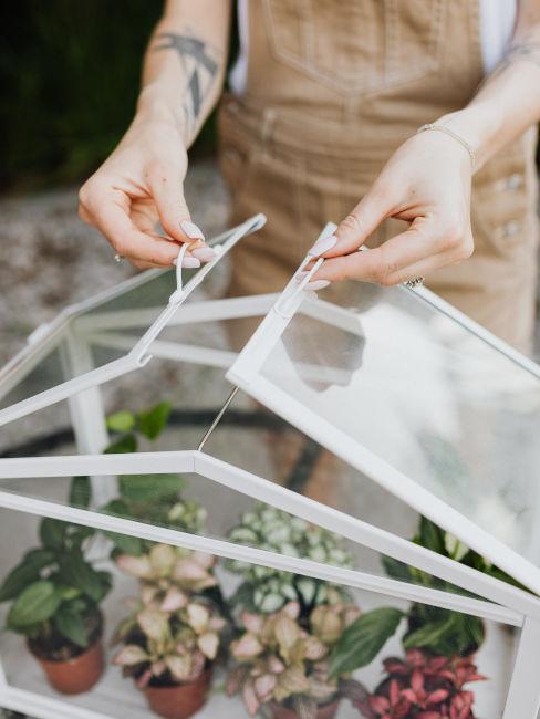 piccola serra per l'inverno