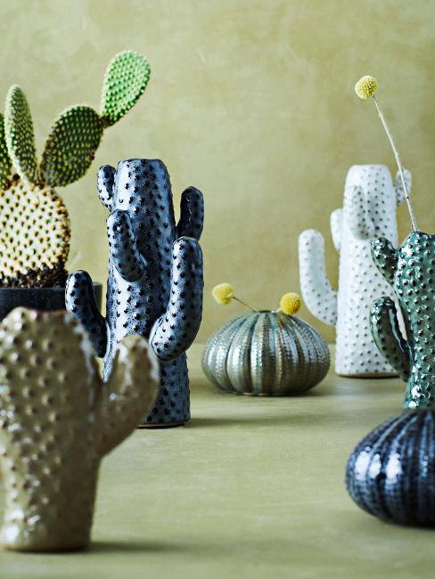 Vasi cactus Vasi a forma di cactus