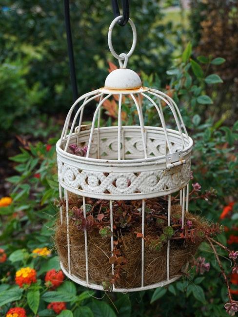 gabbie per uccelli giardino