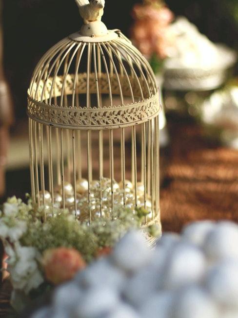 gabbie per uccelli shabby