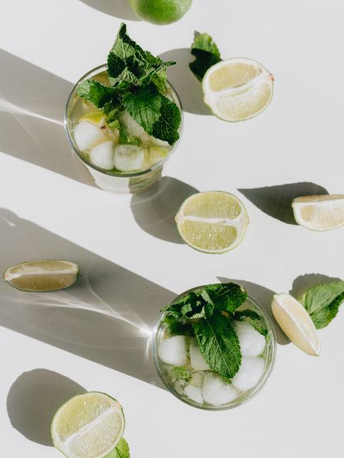 preparazione mojito per festa in piscina