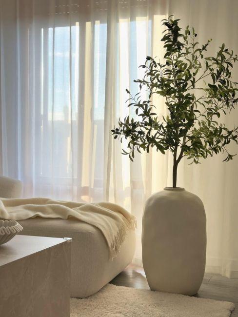 soggiorno con ulivo in vaso alto