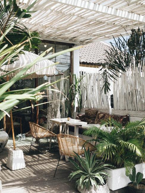 urban jungle in spazio esterno casa