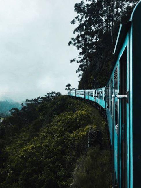 treno in mezzo alla natura con cielo grigio