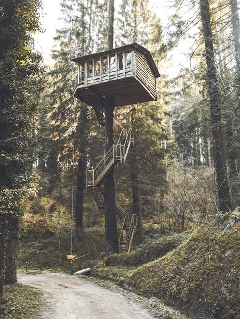 Casa sull'albero