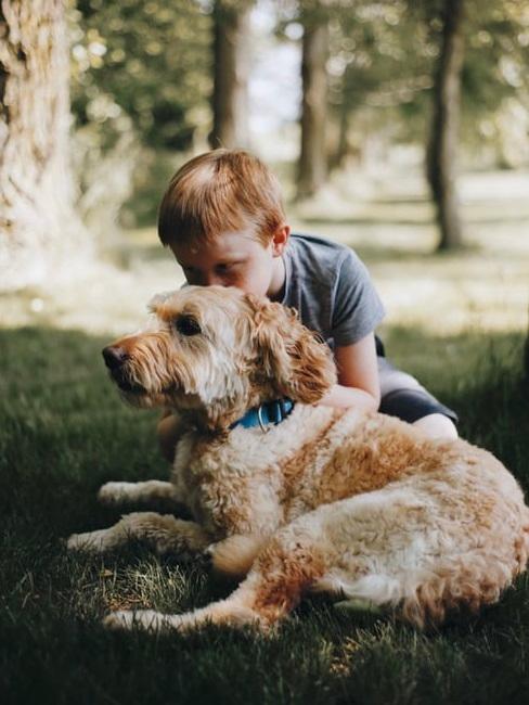 Bambino con il suo cane
