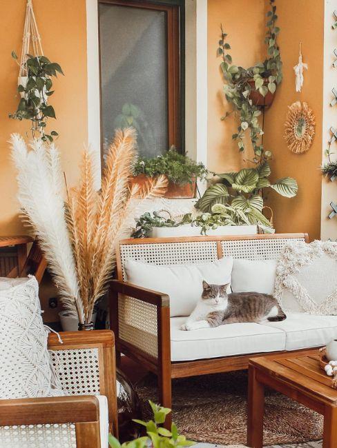 vasi di piante appesi sul balcone