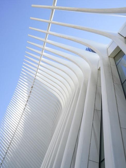 Oculus