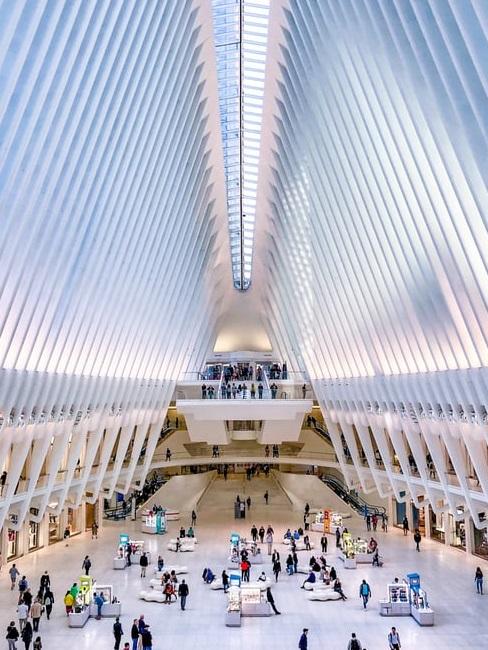 Oculus