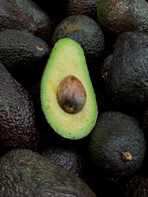 Avocado