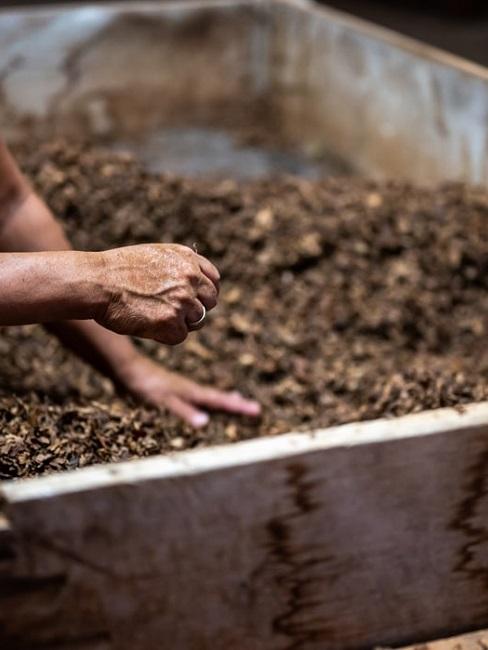 Come fare il compost