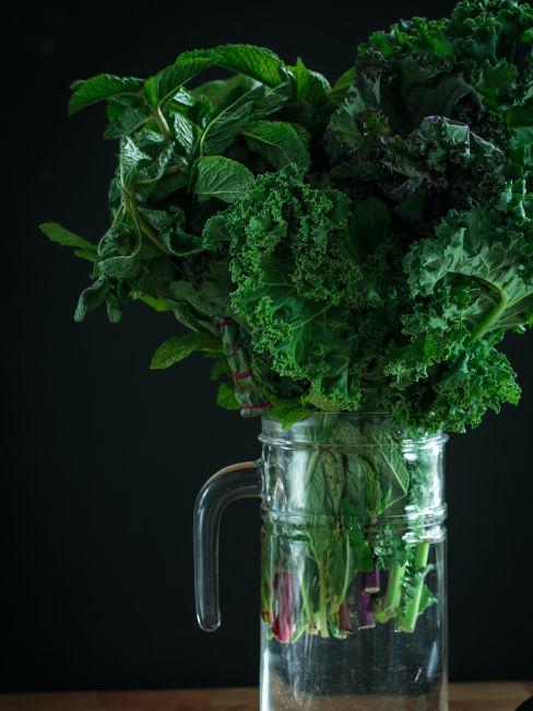 Cavolo nero