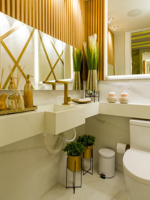 Piante da mensola per arredare il bagno