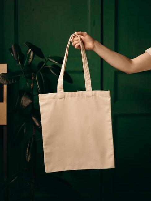 Borsa di tela