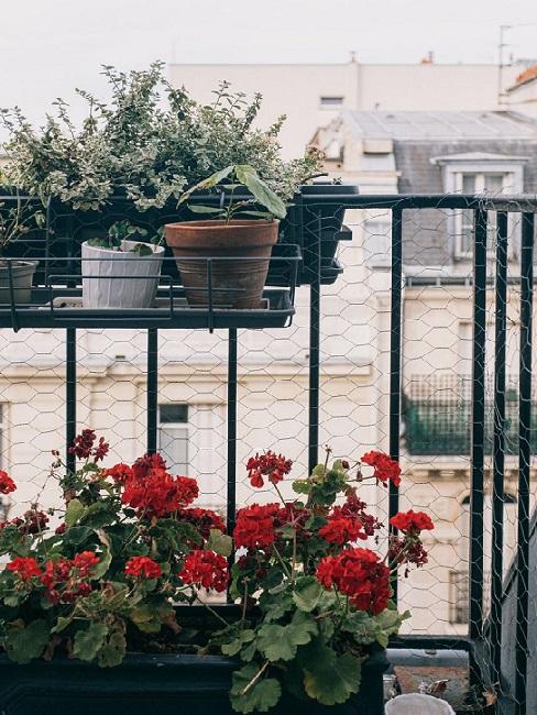 balcone con piante e erbe