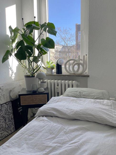 monstera in camera da letto
