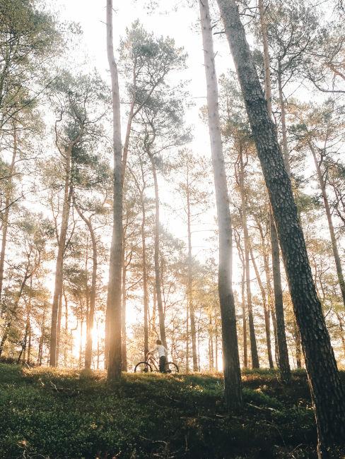 Biciclettata nella natura