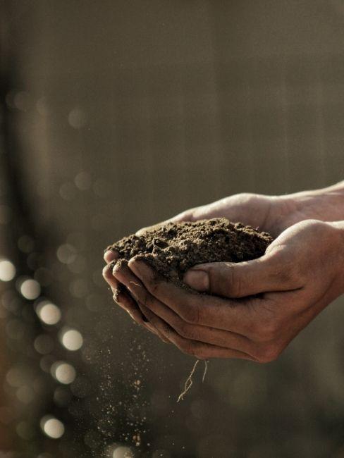 preparare il terreno del giardino