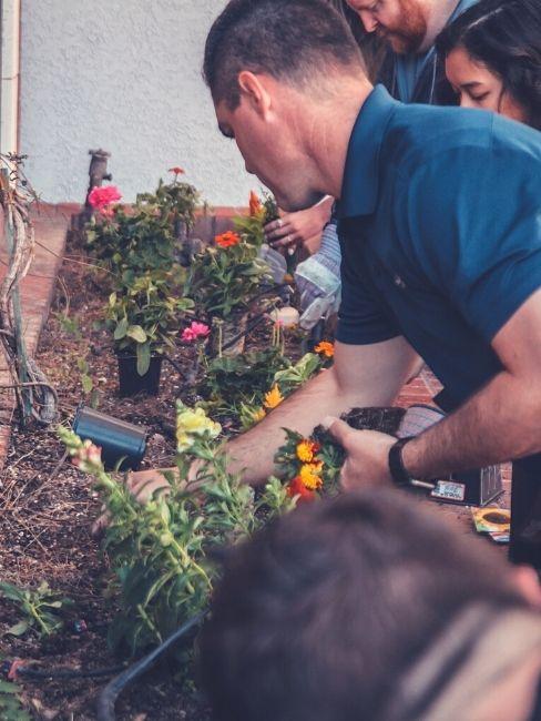 preparare il giardino per la primavera e piantare i fiori