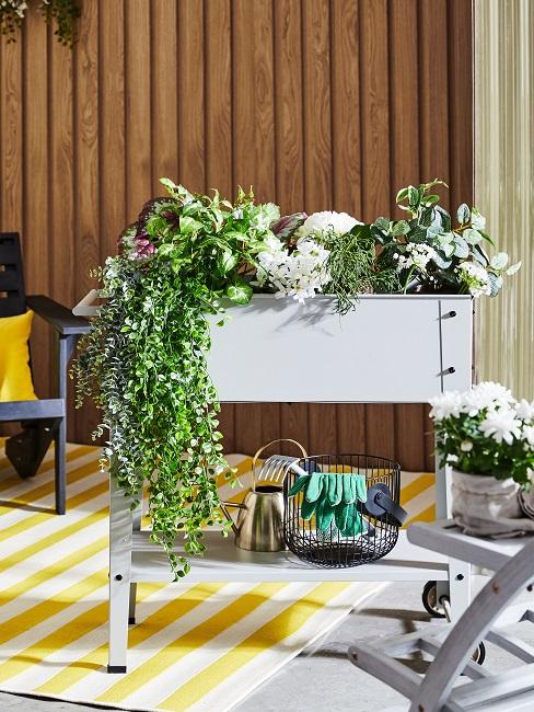 Fioriera alta con fiori e piante