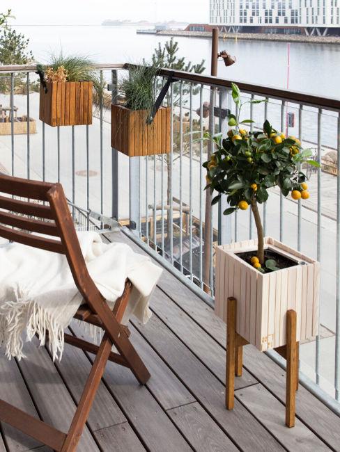 Piante da balcone