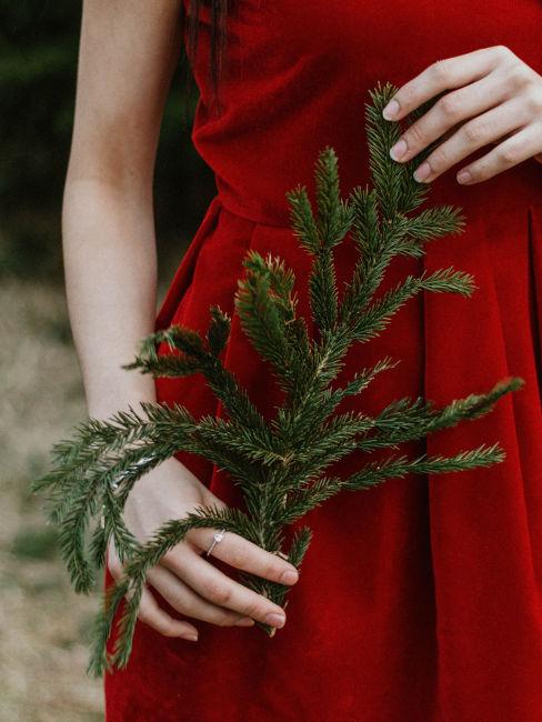 mani di ragazza che tiene un ramoscello
