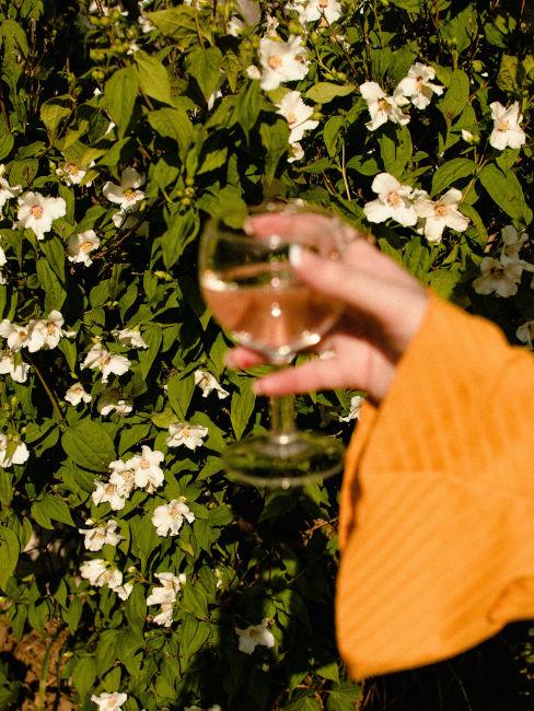 gelsomini con mano che tiene bicchiere di vino
