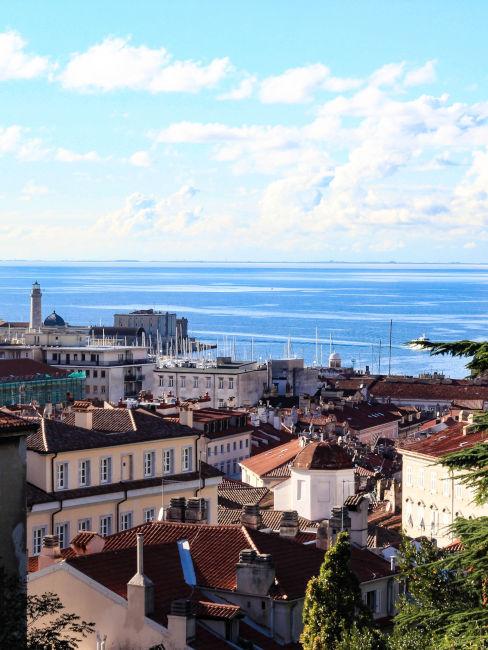 vista dall'alto su città di trieste