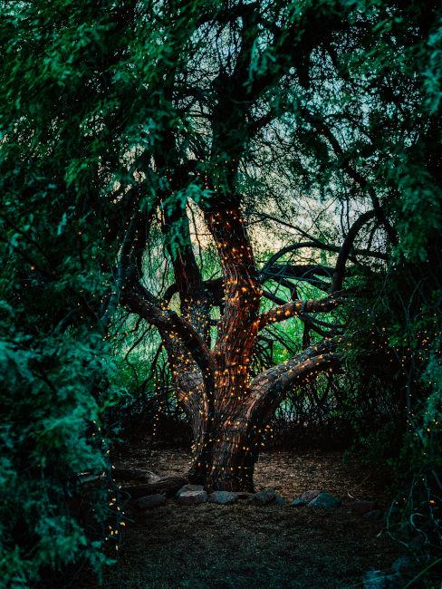 tronco albero con arrotolate luci led