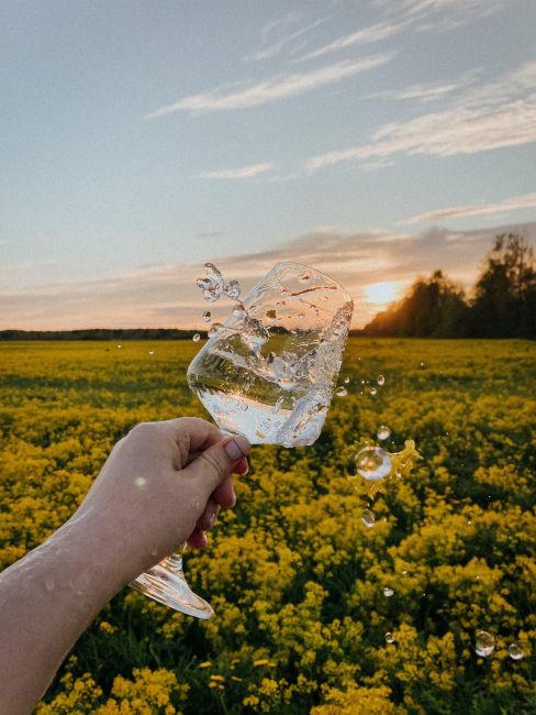 mano che tiene un bicchiere di vino con tramonto sullo sfondo