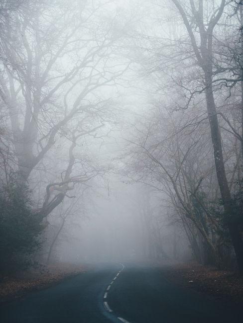 Strada nella nebbia