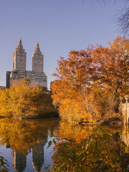 lago con alberi ingialliti in autunno