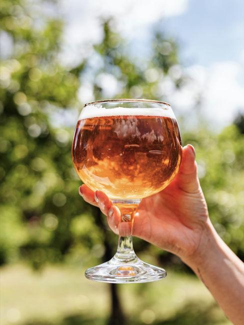 bicchiere di birra artigianale