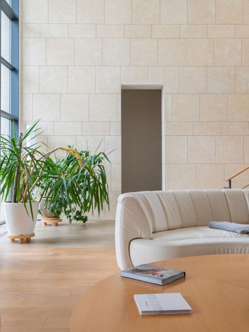 Salotto spazioso con piante e divano bianco