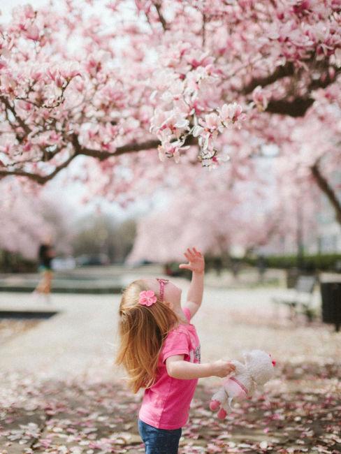 Bambina sotto albero di ciliegio in fiore